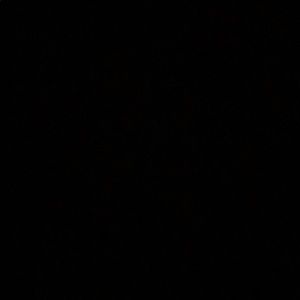 Meet your Posher, Todd